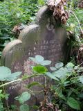 image of grave number 78601